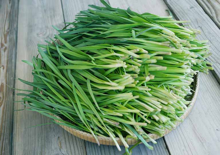 chữa yếu sinh lý bằng thuốc nam