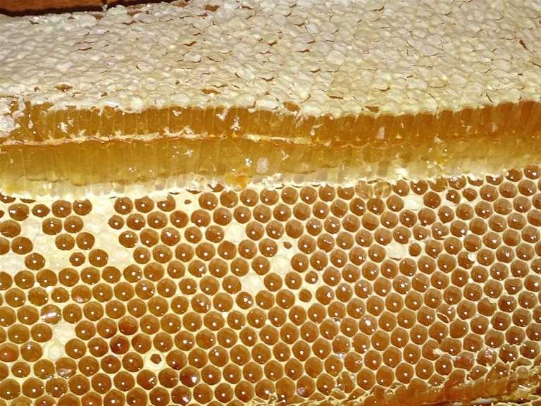 Thành phần mật ong có nhiều chất tốt giúp điều trị bệnh