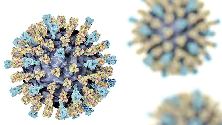 RSV là một loại virus cực kỳ phổ biến, thường bùng phát vào mùa Đông