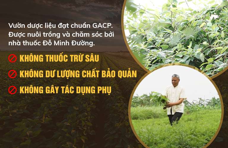 có nên làm mãn kinh muộn không