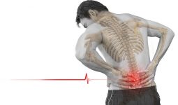 Vì sao bị đau dọc sống lưng? Cách xử lý, khắc phục