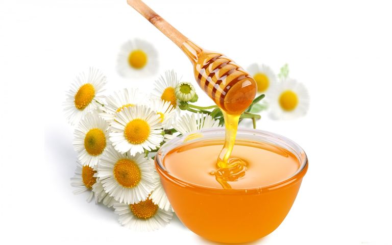 Mật ong và ngải cứu là bài thuốc điều trị đau lưng hiệu quả