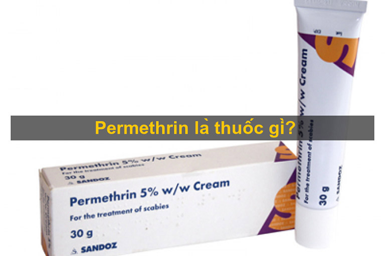 Thuốc Permethrin trị ghẻ
