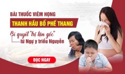 Bài thuốc trị viêm họng Thanh Hầu bổ phế thang từ Ngự y triều Nguyễn