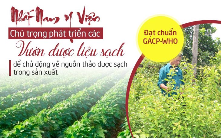Trung tâm Da liễu Đông y Việt Nam chú trọng phát triển các vườn dược liệu sạch đạt chuẩn để chủ động về nguồn thảo dược
